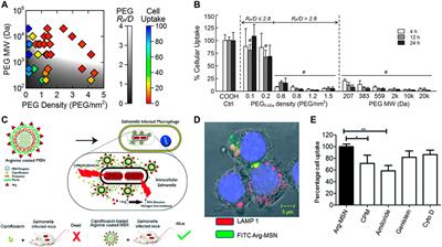 Nanomaterials against intracellular bacterial infection: from drug delivery to intrinsic biofunction